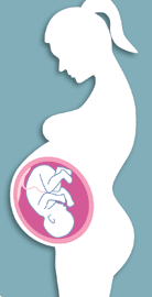 Calculadora de aumento de peso Aumento de peso saludable durante el embarazo