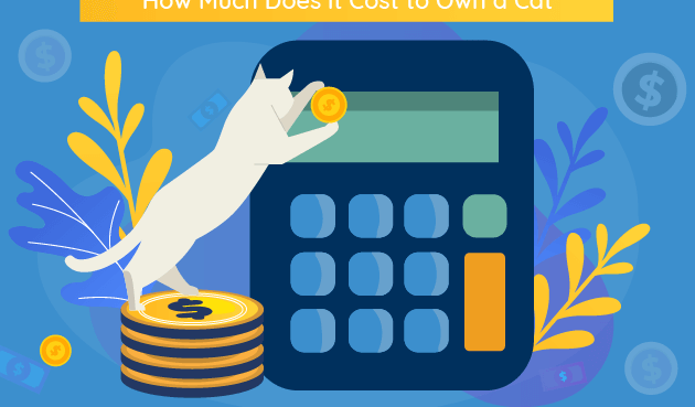 Calculadora de calidad de vida para gatos Alimento para gatos con fórmula de cerdo liofilizada Primal - 14 oz |