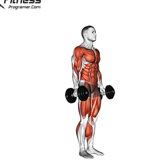 Cómo hacer burpees con mancuernas: beneficios, músculos trabajados