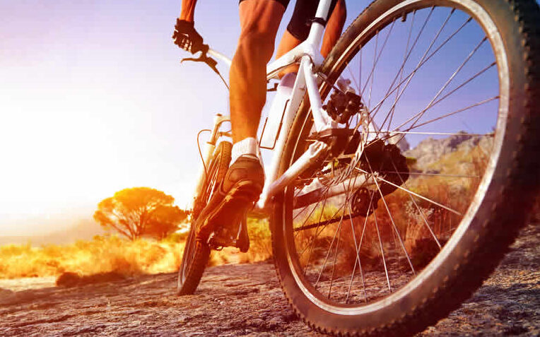 Calculadora de quema de calorías basada en actividades |