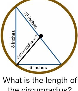 Definición, fórmula y ejemplos de circunradio - Lección |