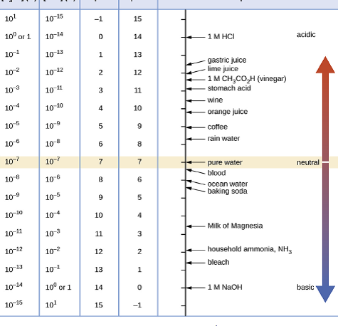 Resuelto: pH y pOH Calcular la concentración de iones de hidrógeno y...