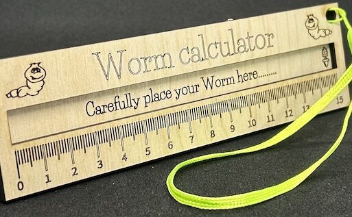 Medidor de calculadora de gusanos personalizado, regla de gusanos de madera contrachapada de abedul...