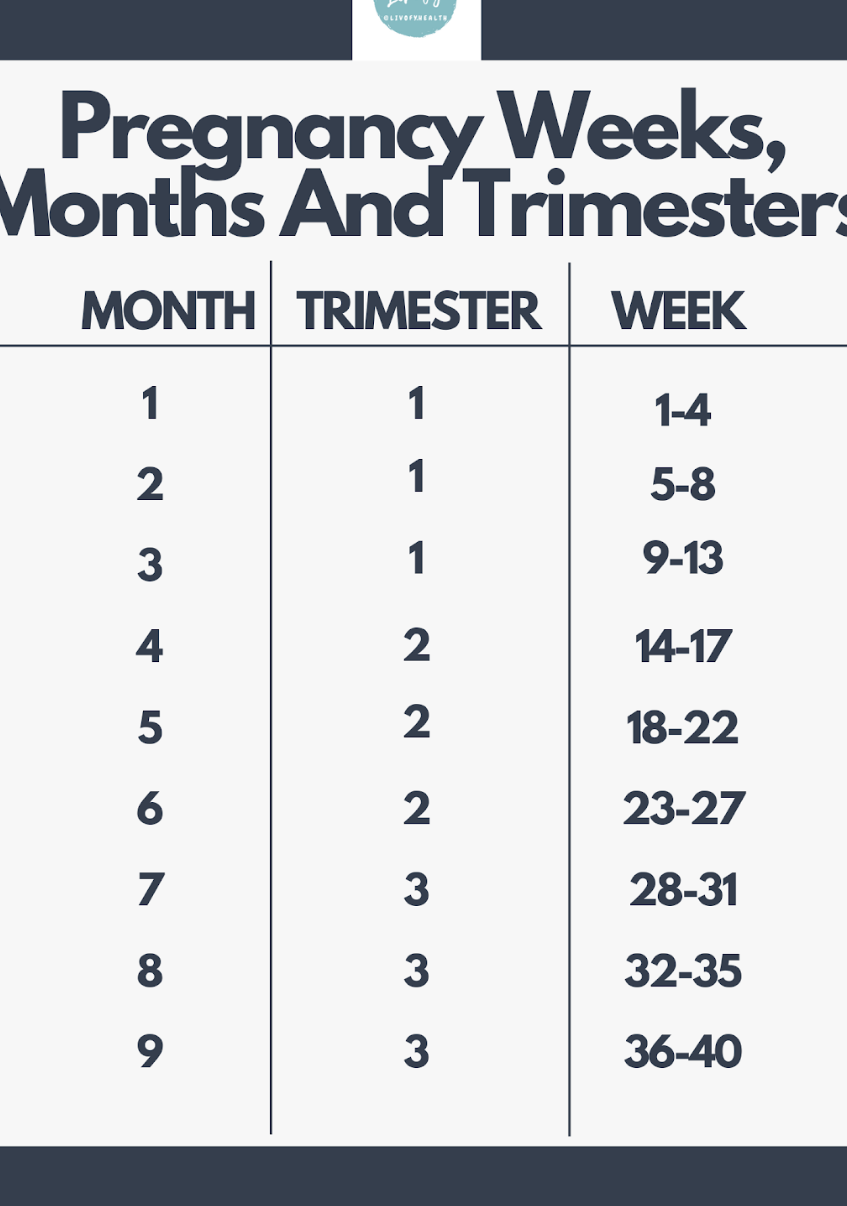 Calculadora de embarazo - Calcule su fecha de parto en línea |