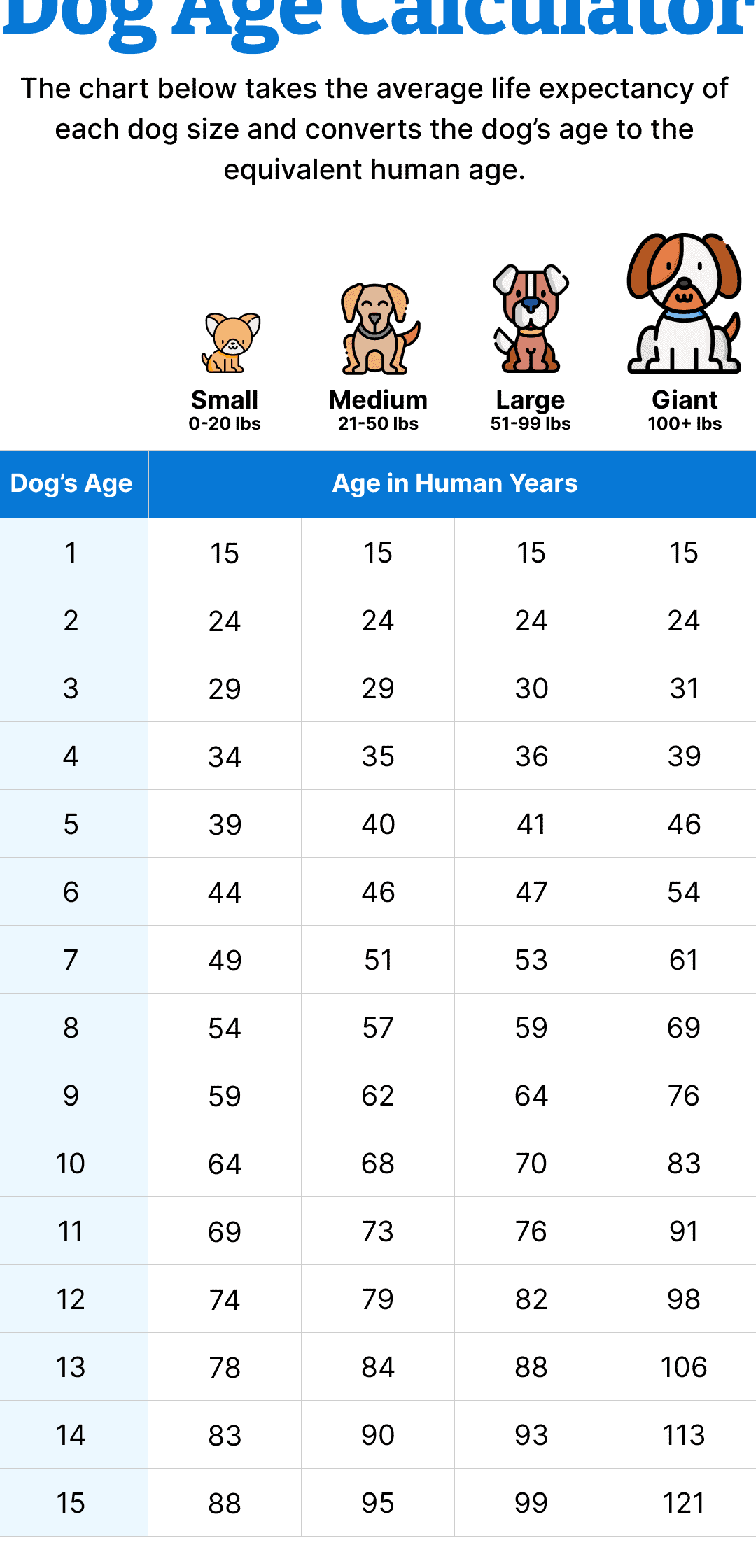 Calculadora de edad del perro (conversión sencilla de la edad humana)