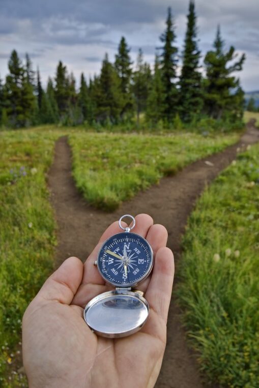 excreción fraccionada de Na: 네이버 블로그