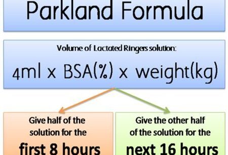 Calculadora de Fórmula de Parkland quemadura de espesor total - Búsqueda de Google |