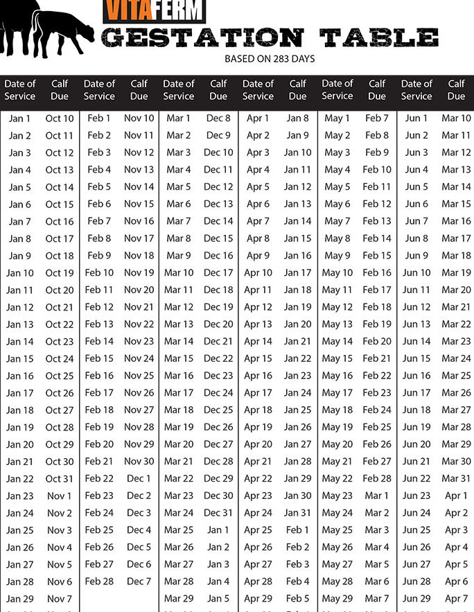 VitaFerm® Concept•Aid® Calculadora de gestación - VitaFerm