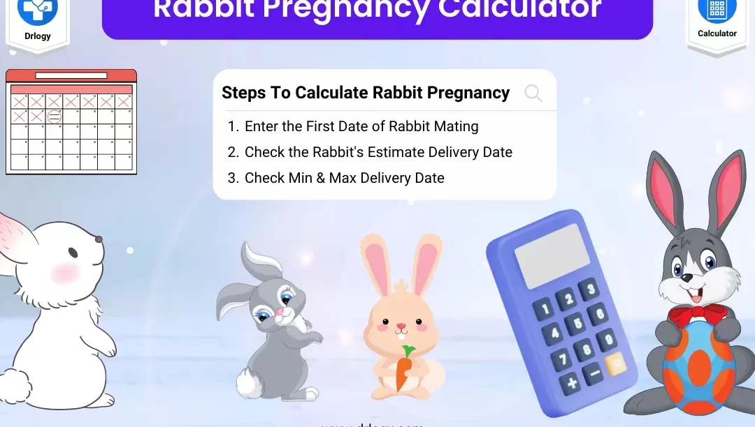 Calculadora de embarazo de conejos |