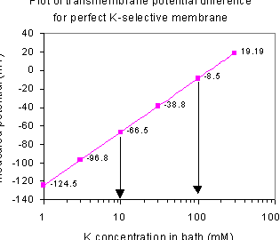 Calculadora de la ecuación de Nernst LA ECUACIÓN DE NERNST