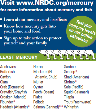 ¿Qué pescado es seguro comer?