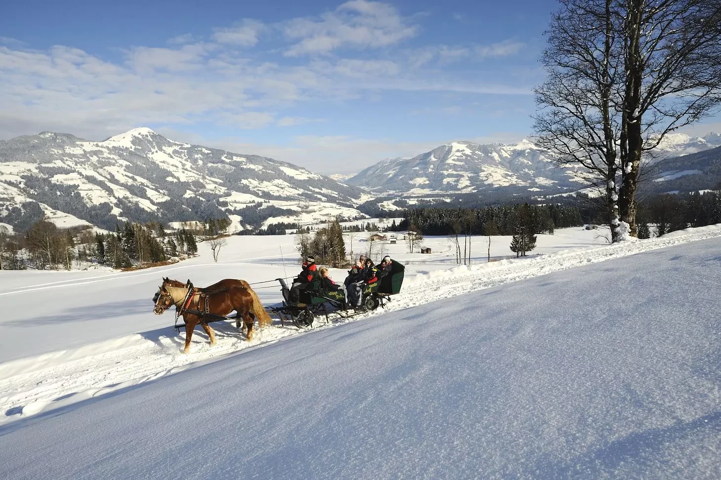 Calculadora de Paseo en Trineo Paseos en trineo en Banff |