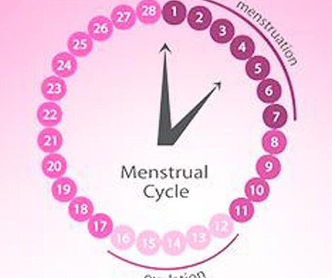 Calculadora de periodo |