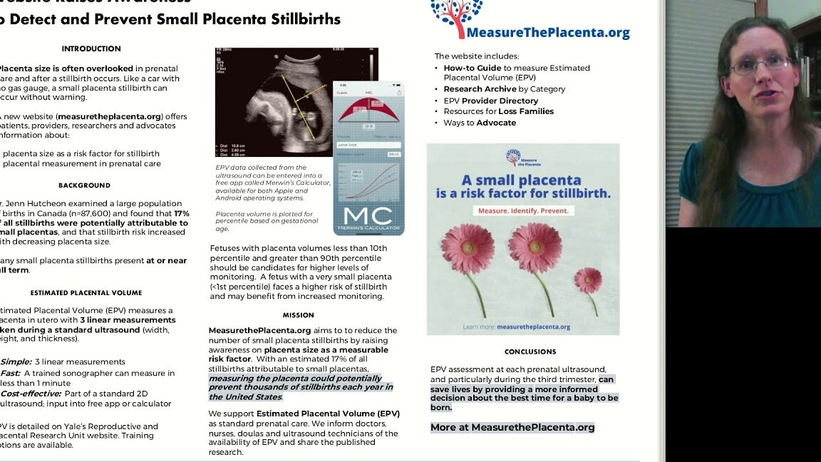 Revista de medicina perinatal