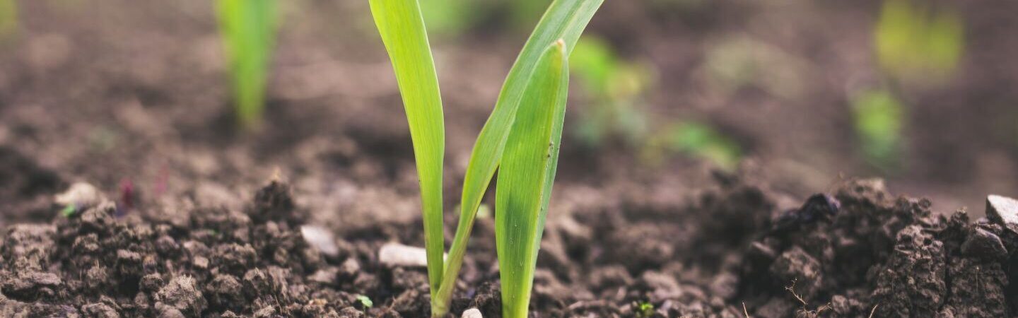 Calculadora de Suelos Calculadora de suelo |