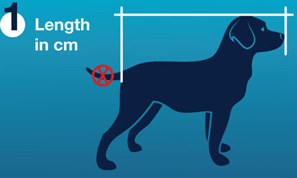 Calculadora de Tamaño de Perro Cómo dimensionar a tu mascota - AeropetsAeropets
