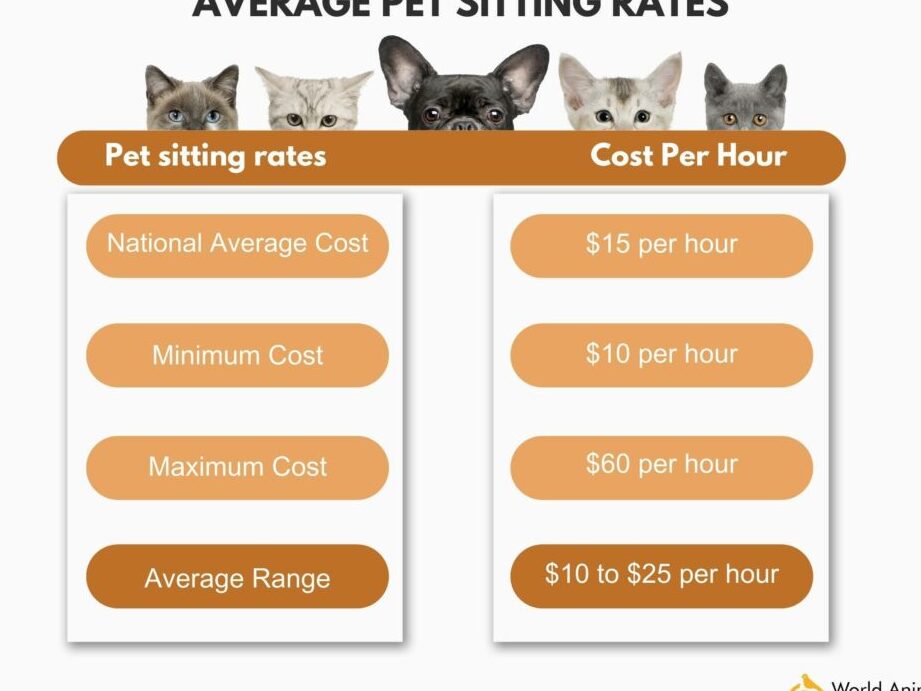 Calculadora de tarifas para cuidador de mascotas Calculadora de tarifas de cuidado de mascotas: herramienta útil para precios personalizados