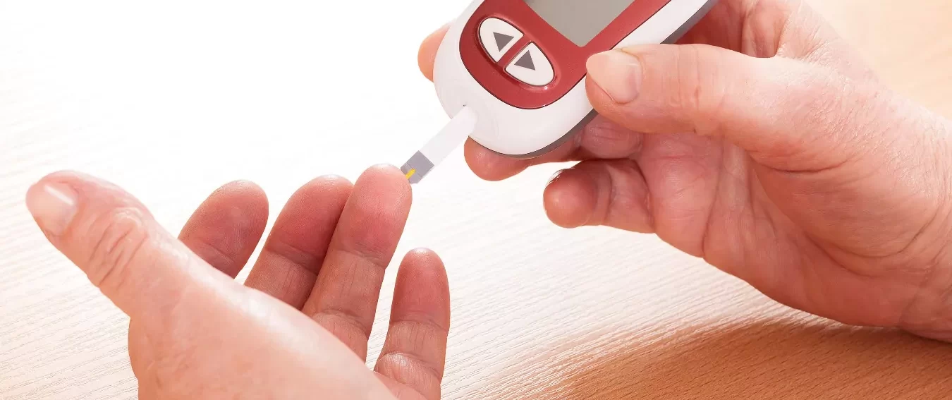 SciELO - Brasil - Validación del HOMA-IR en un modelo de insulina...