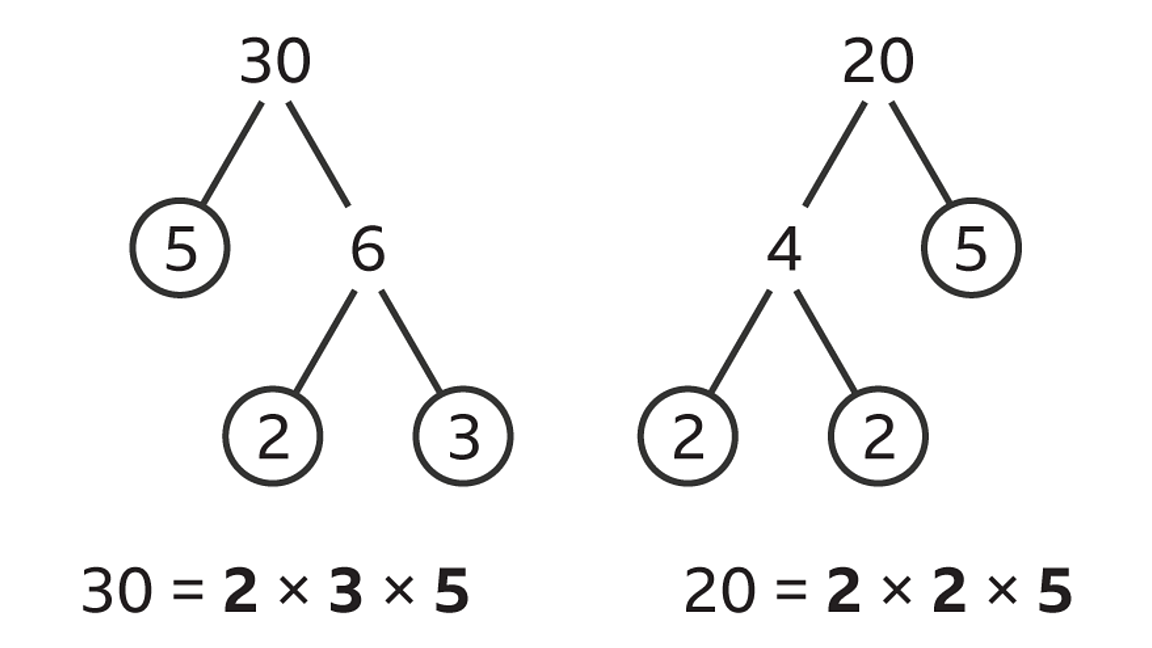 Cómo calcular el mcm de tres números usando lista, división y primos ...